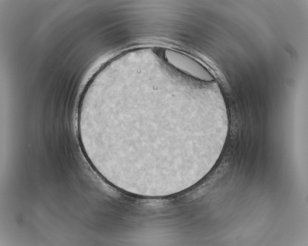 X0000110971188200907310923