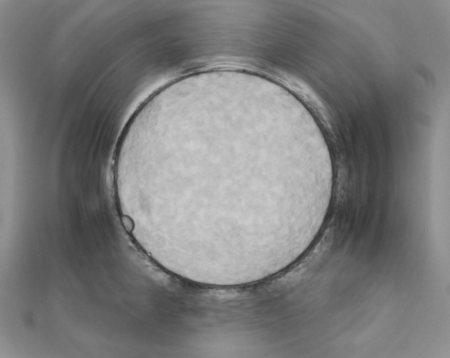 X0000110971190200907310923