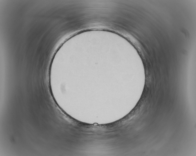 X0000110971191200907310923