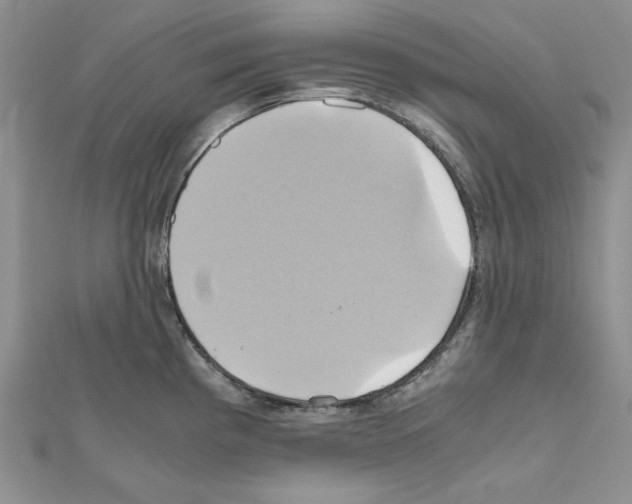 X0000110971193200907310923