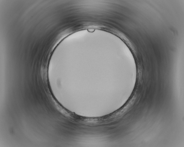 X0000110971194200907310923