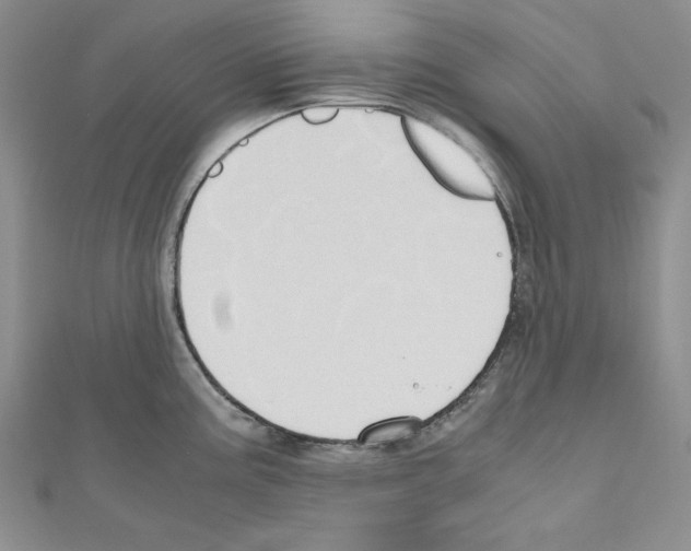 X0000110971195200907310923