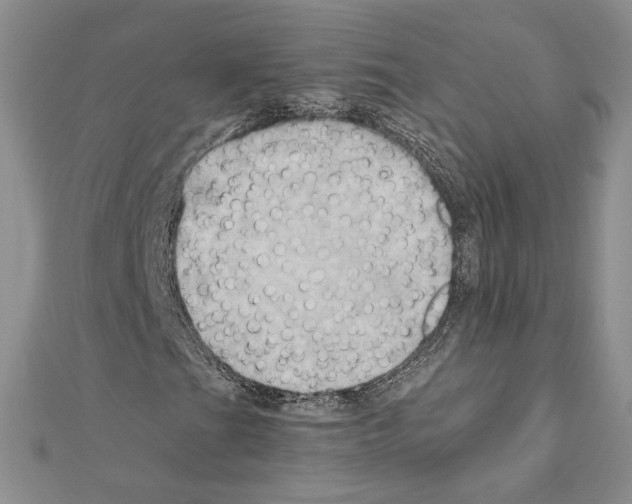 X0000110971201200907310922