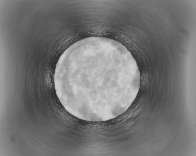 X0000110971202200907310922