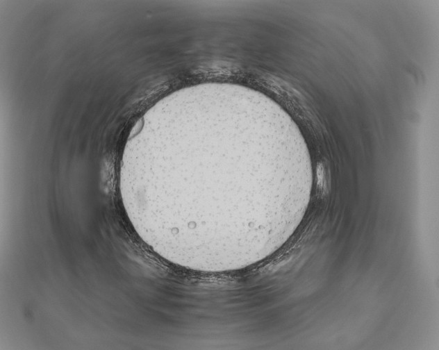 X0000110971203200907310922