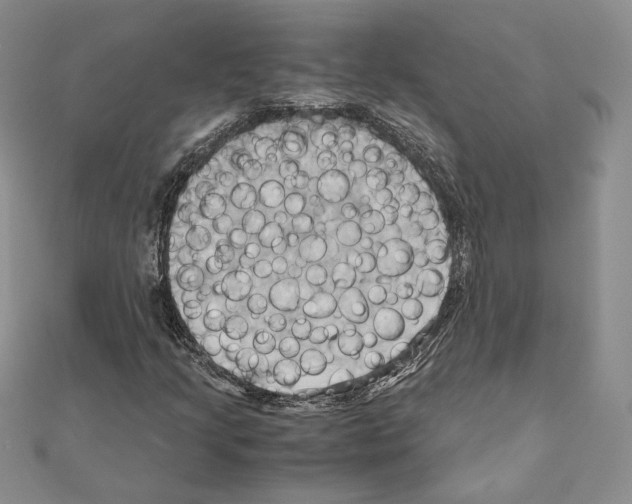 X0000110971205200907310922
