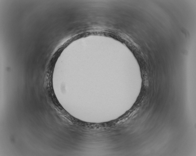 X0000110971208200907310922