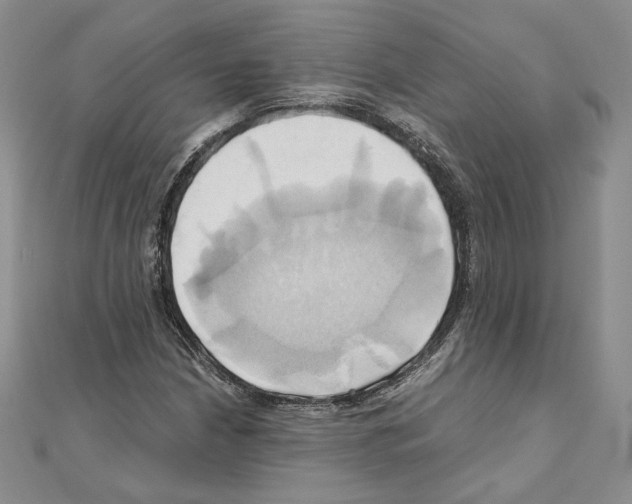 X0000110971210200907310922