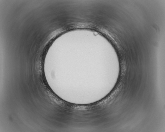 X0000110971211200907310922