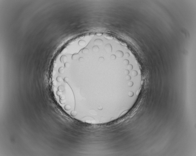 X0000110971212200907310922