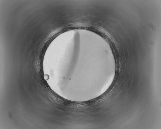 X0000110971213200907310922