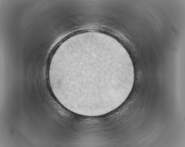 X0000110971216200907310922