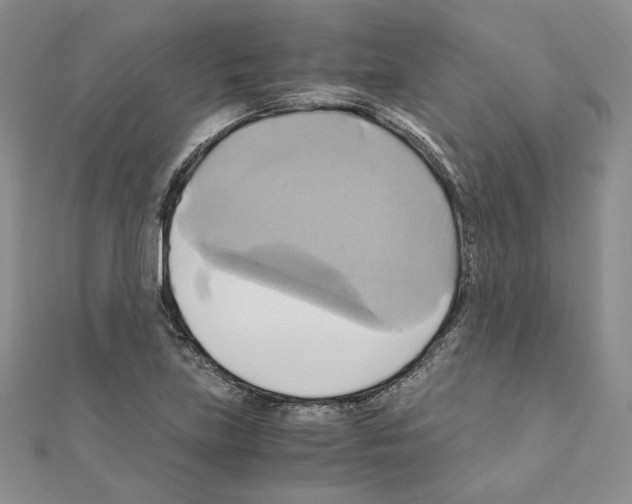 X0000110971219200907310922