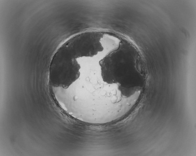 X0000110971220200907310922