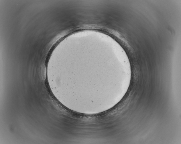 X0000110971221200907310922