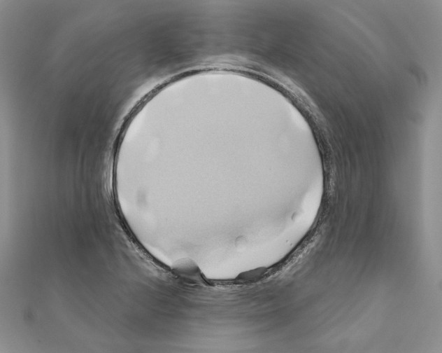 X0000110971224200907310922