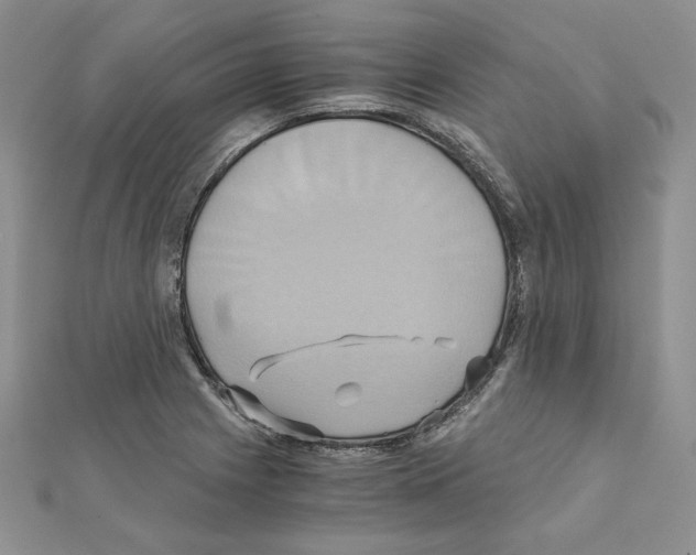 X0000110971225200907310922