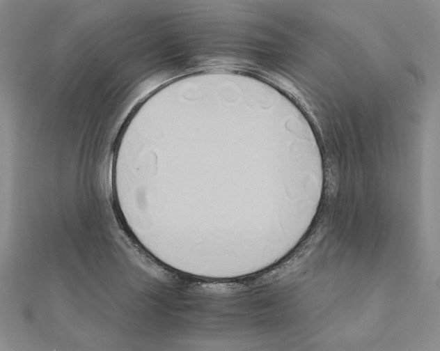 X0000110971227200907310922
