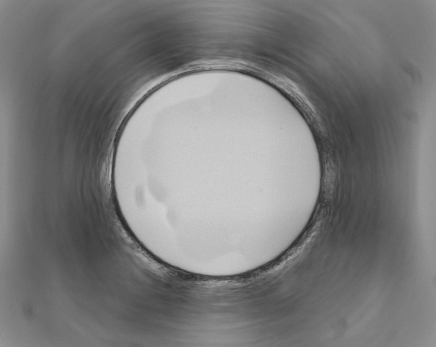 X0000110971228200907310922