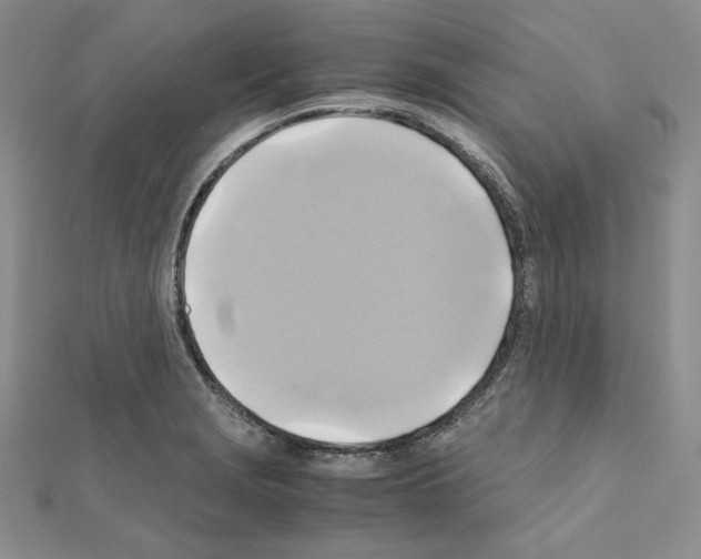 X0000110971229200907310922