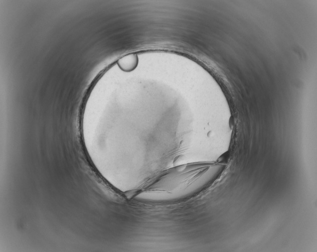 X0000110971230200907310922