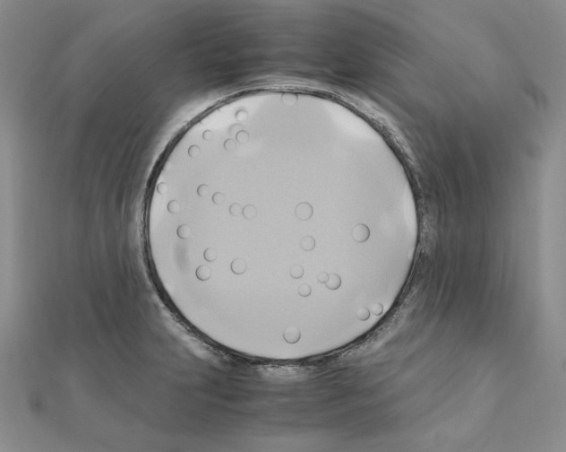X0000110971231200907310922