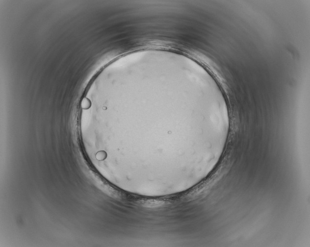 X0000110971235200907310922