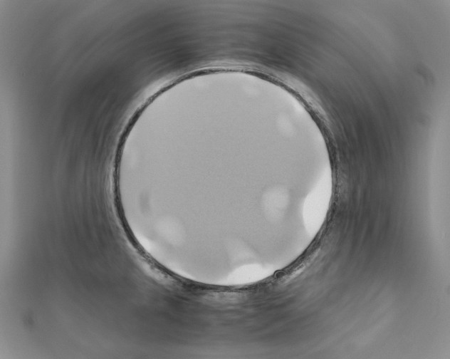 X0000110971237200907310922