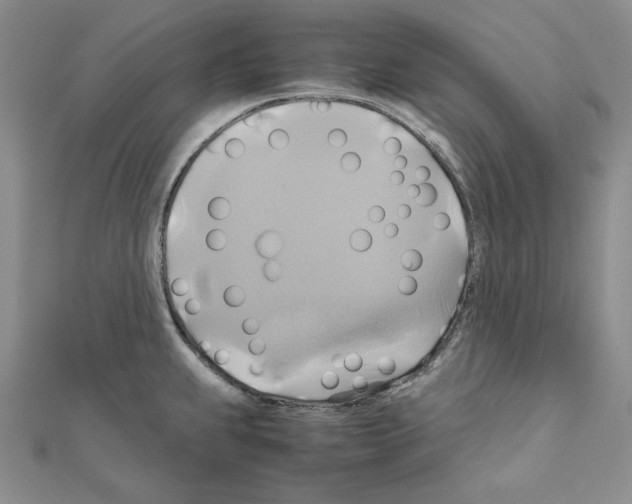 X0000110971239200907310922