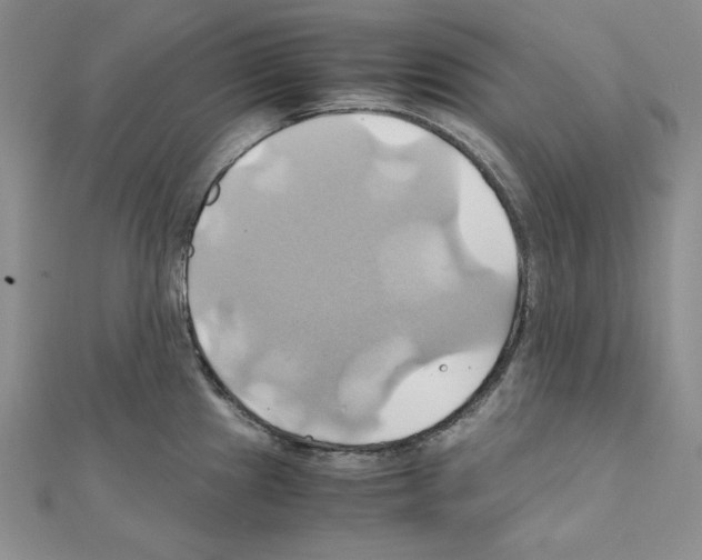 X0000110971241200907310922