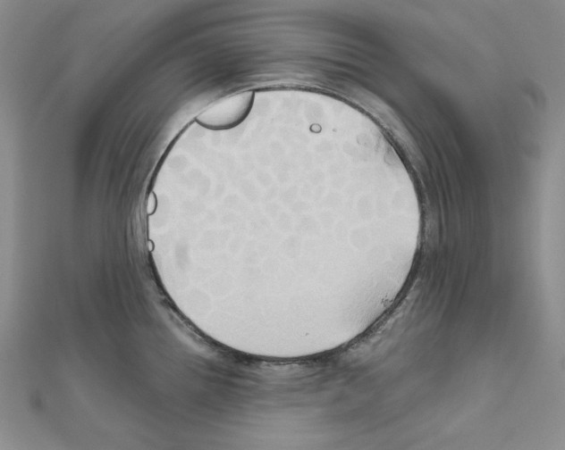 X0000110971242200907310922