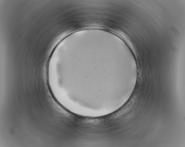 X0000110971243200907310923