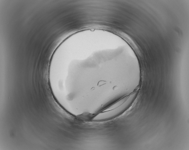 X0000110971244200907310923