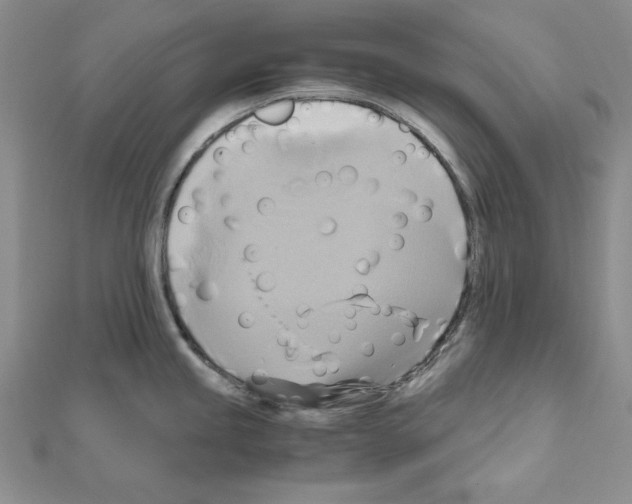 X0000110971245200907310923