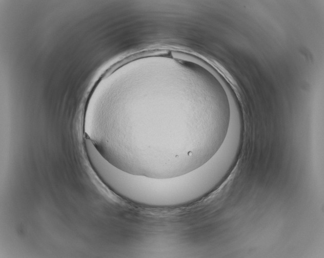 X0000110971246200907310923