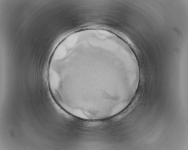X0000110971247200907310923