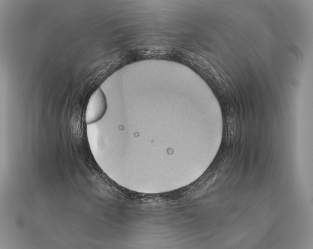 X0000110971250200907310922