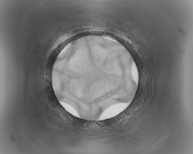 X0000110971255200907310922