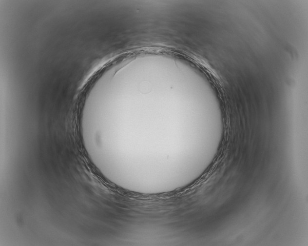 X0000110971256200907310922