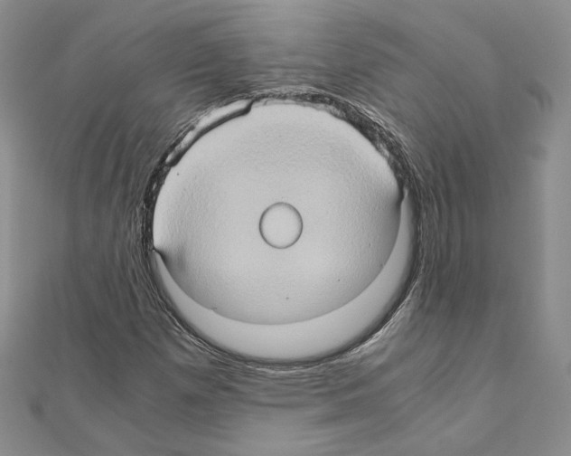 X0000110971257200907310922