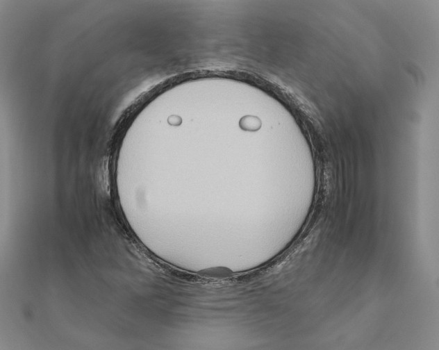 X0000110971262200907310922