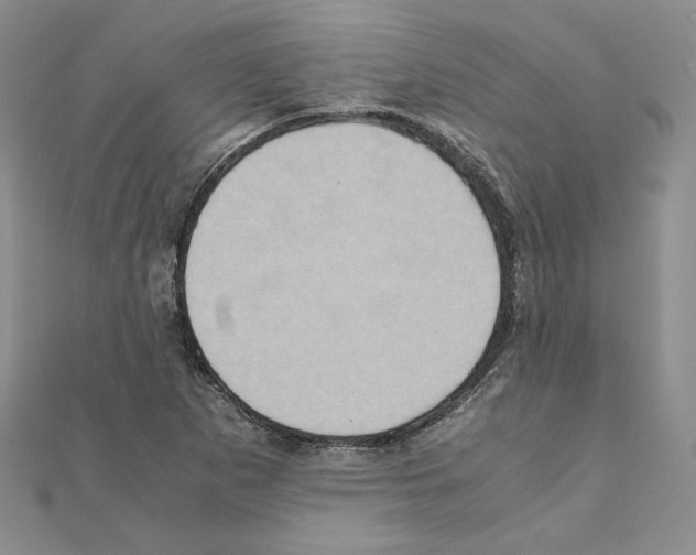 X0000110971265200907310922