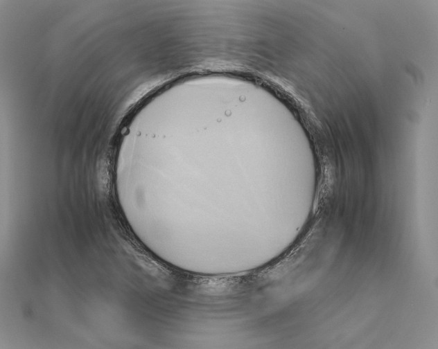 X0000110971266200907310922