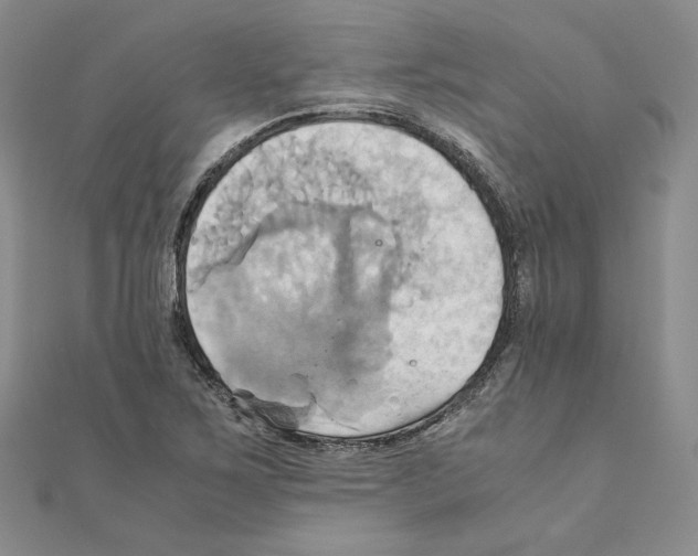 X0000110971267200907310922
