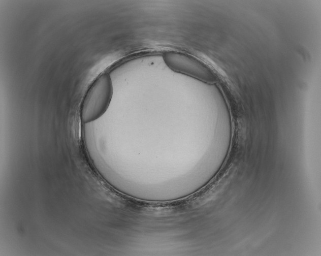 X0000110971269200907310922