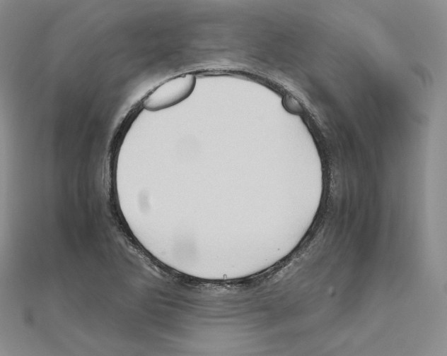 X0000110971270200907310922