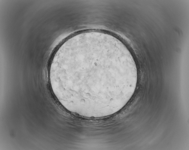 X0000110971271200907310922