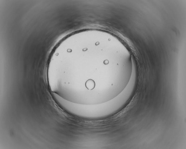 X0000110971272200907310922