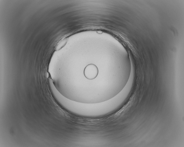 X0000110971273200907310922