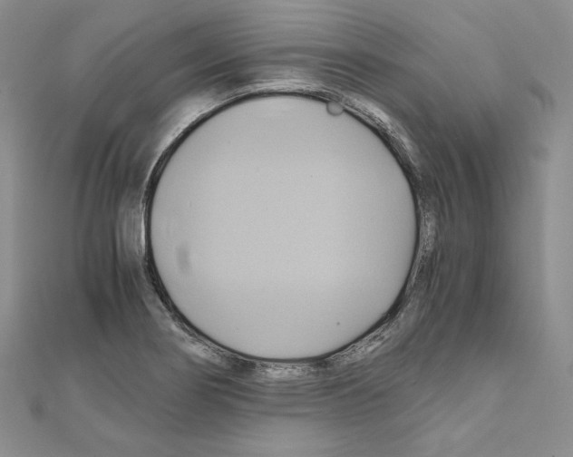 X0000110971274200907310922